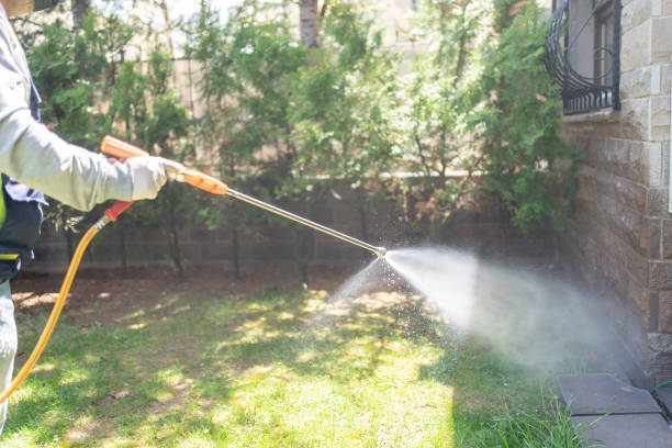 Professional Pest Control in St Bonifacius, MN